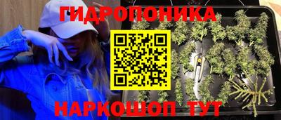 хмурый Абинск
